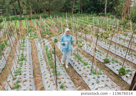 A Gardener Diligently Tending to Rows of Fresh Green Vegetables in a Sunny Field 119676014
