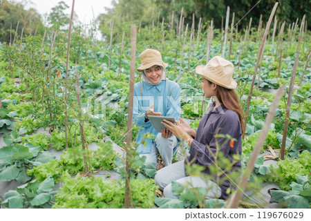 Farmers collaborate in a vegetable field, using digital tech to improve practices Farmers collaborate in a vegetable field, using digital tech to improve practices 119676029