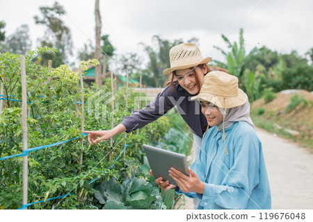 Farmers conduct an analysis of crop growth using a tablet while outdoors in a field 119676048