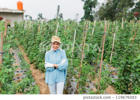 Woman in Blue Outfit Posing Among Green Tomato Plants in Agricultural Field 119676083