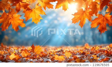 Fall panoramic Thanksgiving header with golden maple leaves, sunlight, and clear blue sky, perfect for banners 119676505