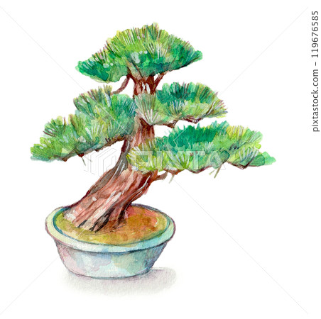 松樹盆景畫水彩 119676585