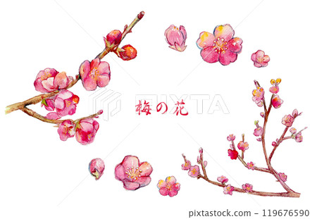 水彩畫紅梅花的插圖 119676590