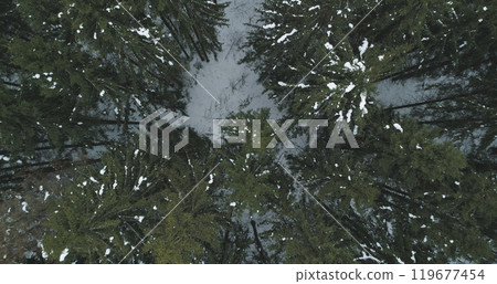 Aerial top view over winter fir forest 119677454