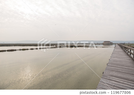 Secovlje Salt Pans 119677806