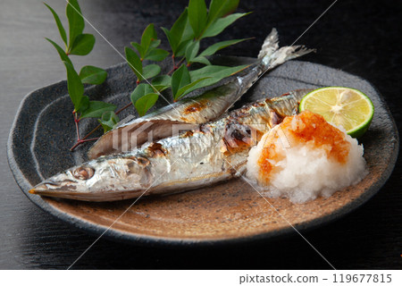 Salt-grilled saury 119677815