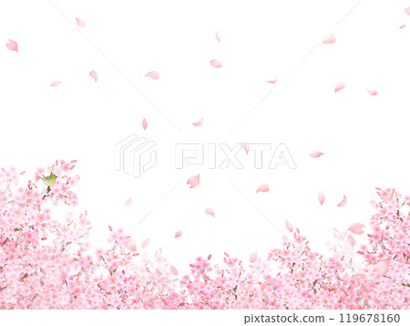 櫻桃樹與鶯-美麗的淺粉紅色櫻花和花瓣春天水彩白色背框背景材料插圖 119678160