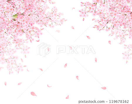 Cherry tree with warbler - Beautiful light pink cherry blossoms and petals Spring watercolor white back frame background material illustration 119678162