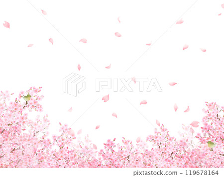 櫻桃樹與鶯-美麗的淺粉紅色櫻花和花瓣春天水彩白色背框背景材料插圖 櫻桃樹與鶯-美麗的淺粉紅色櫻花和花瓣春天水彩白色背框背景材料插圖 119678164