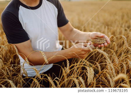 A young farmer controls the growth of his crop. Agriculture concept. Harvesting. 119678195
