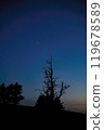 Silhouette of trees against a starry night sky landscape 119678589