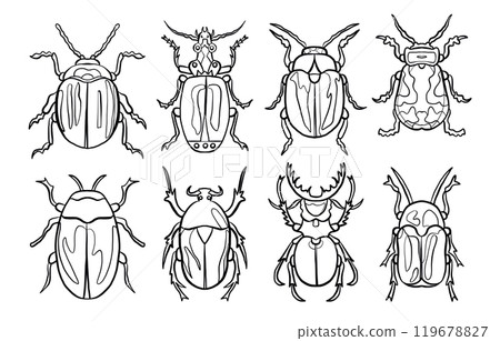 Hand Drawn Black Line Tropical Bug Icon Set Isolated on White. Doodle Vector Illustration 119678827