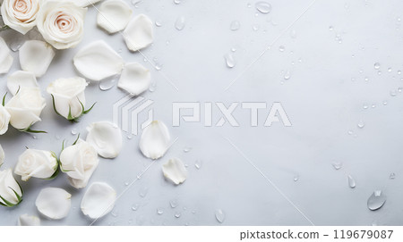 Background with white rose petals, flowers and water drops on a concrete background. Love, Valentine's Day, International Women's Day 119679087