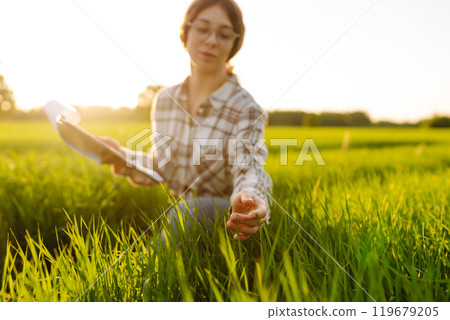 Woman agronomist in a field of milled wheat with tablet checks the growth of crop. Harvest concept. 119679205
