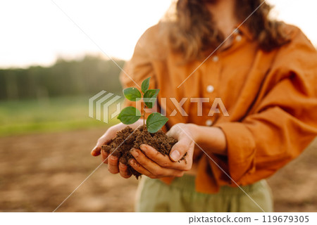 A woman agronomist protects a young plant in the field. Organic gardening, ecology concept. A woman agronomist protects a young plant in the field. Organic gardening, ecology concept. 119679305