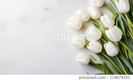 bouquet of white tulips on a pale pink background with space for text. International Women's Day, Mother's Day 119679393