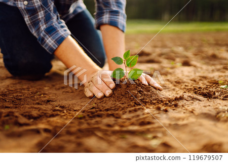 Farmer's hands plant, grow plants growing in fertile soil. The concept of conservation. 119679507