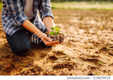 A man holds a green plant in his hands. Growing food. Agriculture concept. A man holds a green plant in his hands. Growing food. Agriculture concept. 119679510