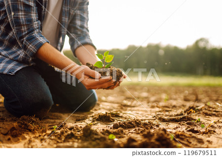 A man holds a green plant in his hands. Growing food. Agriculture concept. A man holds a green plant in his hands. Growing food. Agriculture concept. 119679511
