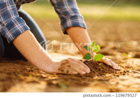 Farmer's hands plant, grow plants growing in fertile soil. The concept of conservation. Farmer's hands plant, grow plants growing in fertile soil. The concept of conservation. 119679527