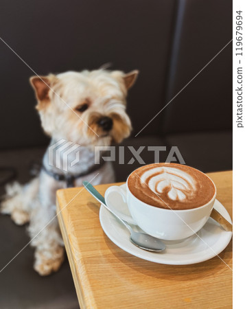 A small shaggy brown Yorkshire Terrier dog sits at a table, with a hyper-realistic cup of cappuccino or cacao in focus. Cute puppy pet in coffee shop. 119679694