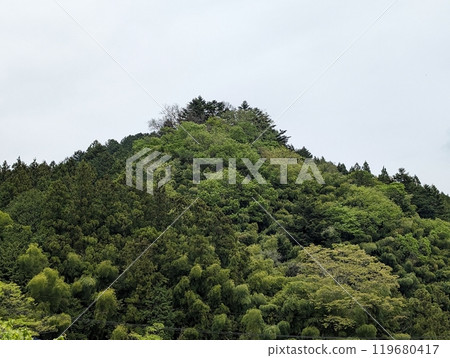 Tokyo green 119680417