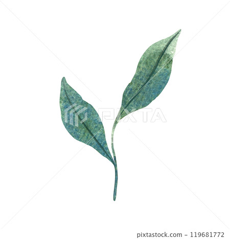 Watercolor illustration of green leaves with detailed veins. Perfect for nature themed design, botanical illustrations, and eco friendly projects. Suitable for backgrounds, patterns, or seasonal decor 119681772