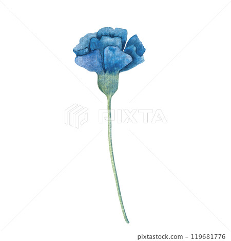 Watercolor illustration of a blue flower with soft, delicate petals. Ideal for floral designs, nature inspired projects, or decoration. Perfect for invitations, greeting cards, and seasonal artwork 119681776