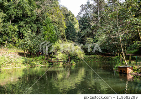Big Lake, grande lago in ancient forest of Bussaco National Forest, in Luso, Aveiro in Portugal Big Lake, grande lago in ancient forest of Bussaco National Forest, in Luso, Aveiro in Portugal 119682299
