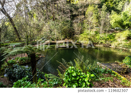 Little Lake, Lago Pequeno in ancient forest of Bussaco National Forest, in Luso, Aveiro in Portugal 119682307