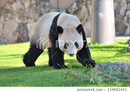 散步的長濱 散步的長濱 119682441