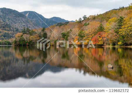 The deepening autumn foliage of Oku-Nikko The deepening autumn foliage of Oku-Nikko 119682572