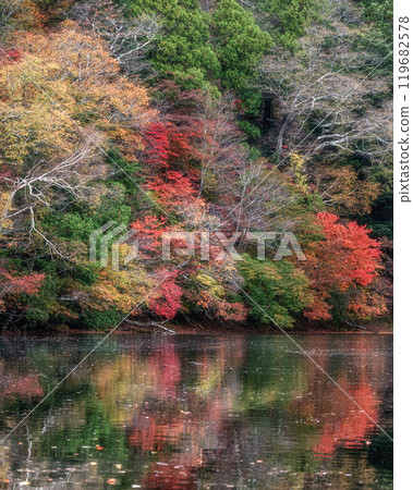 The deepening autumn foliage of Oku-Nikko The deepening autumn foliage of Oku-Nikko 119682578