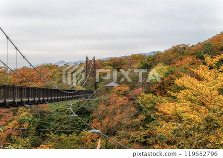 Autumn foliage around Mount Nasu, Tochigi Prefecture Autumn foliage around Mount Nasu, Tochigi Prefecture 119682796