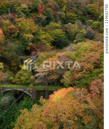 Autumn foliage around Mount Nasu, Tochigi Prefecture 119682798
