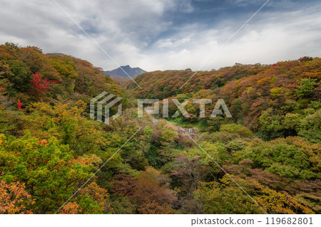 Autumn foliage around Mount Nasu, Tochigi Prefecture Autumn foliage around Mount Nasu, Tochigi Prefecture 119682801