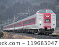 Limited Express Yakumo 381 Series Large Curtain Logo 119683047