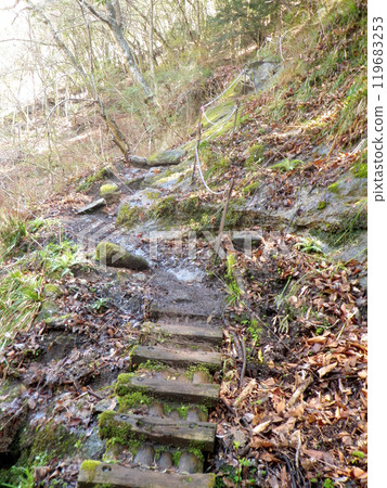Scaffolding made from logs from Otakizawa, Nishitanzawa 119683253