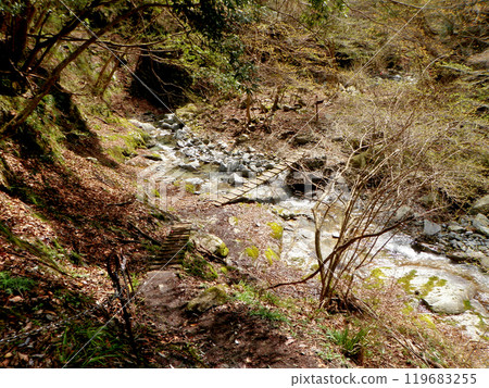 西丹澤、大瀧澤獨木橋 西丹澤、大瀧澤獨木橋 119683255