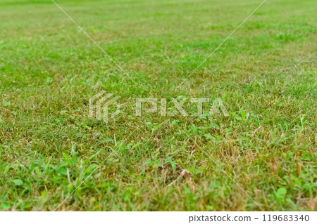 Ground photographed with f5 119683340