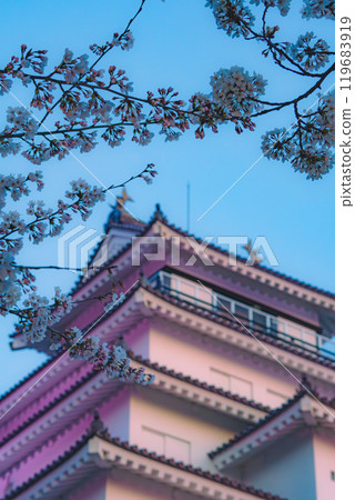 抬頭仰望櫻花，敦賀城就被染成了櫻花色。 119683919