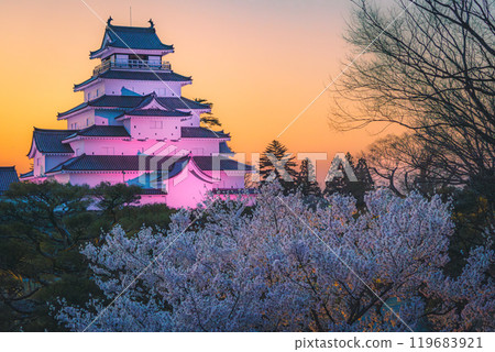 黃昏時分染上櫻花色的敦賀城 119683921