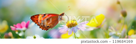 A butterfly is resting on a flower 119684169