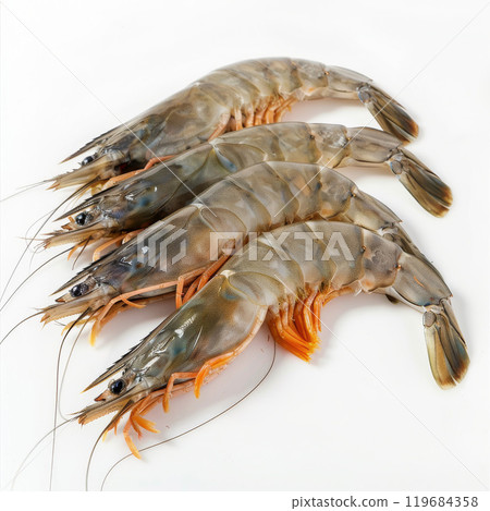 Uncooked Prawns Lined Up on Clean White Background 119684358