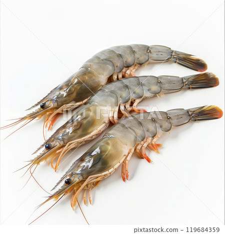 Exotic Prawns Displayed on Pristine White Surface 119684359