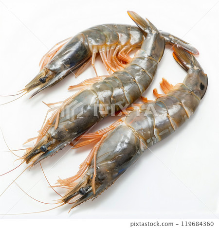 Gourmet Prawns Captured in Raw Beauty on White Background 119684360