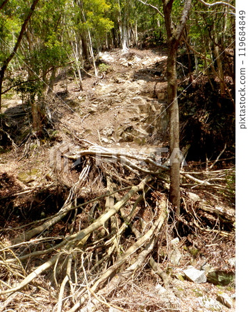 Small landslide site in a dried-up stream Small landslide site in a dried-up stream 119684849