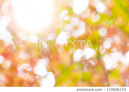 Autumn Leaves Balls Bokeh 119686110