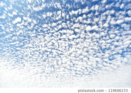 鱗片雲在秋天的天空中蔓延 119686233