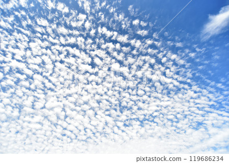 鱗片雲在秋天的天空中蔓延 119686234